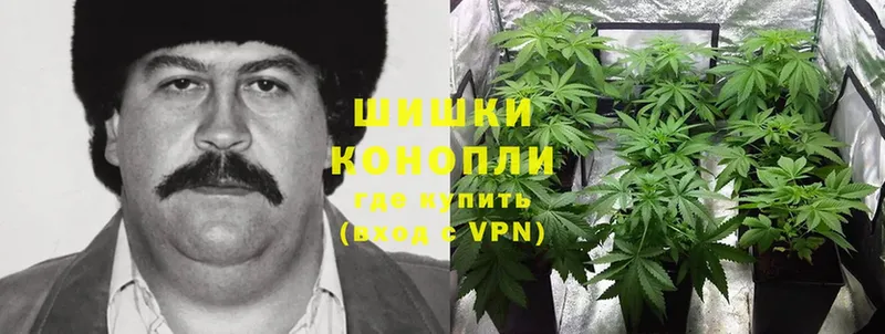 Канабис LSD WEED  Энем 